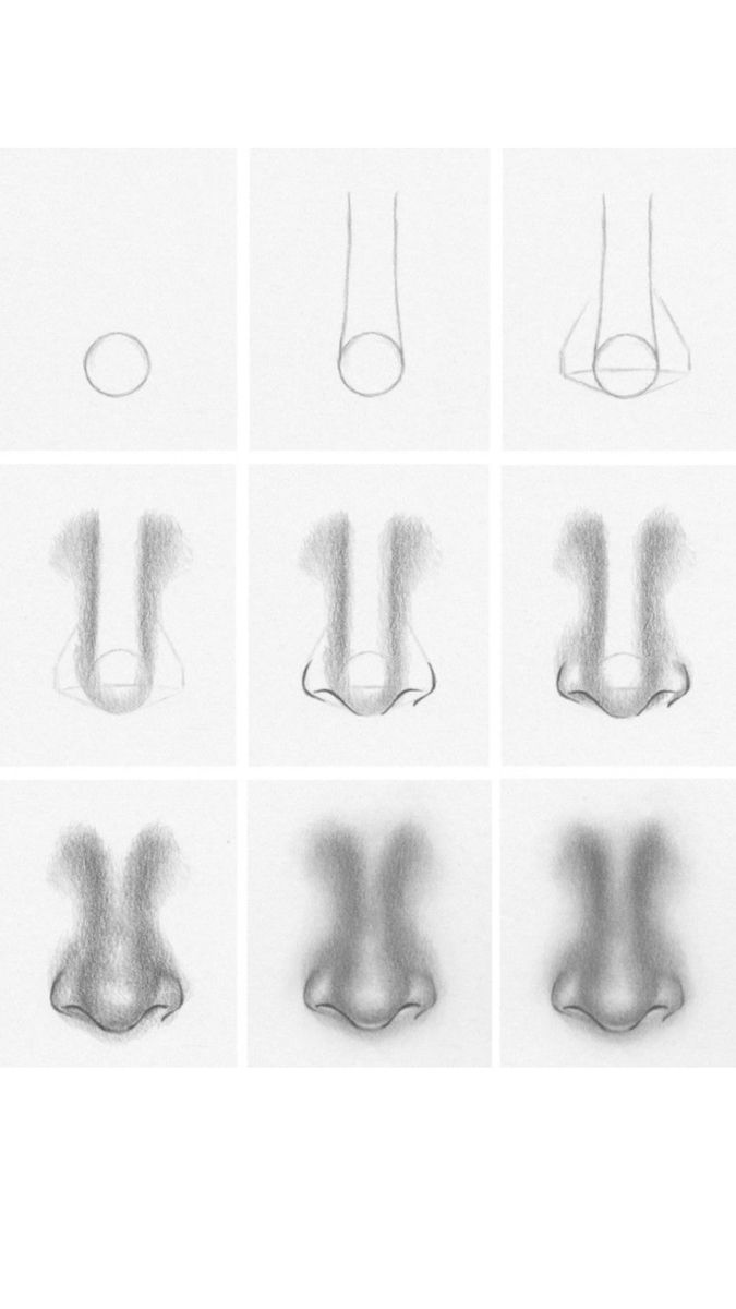 Drawing of the Nose: Realistic Techniques for Perfect Proportions