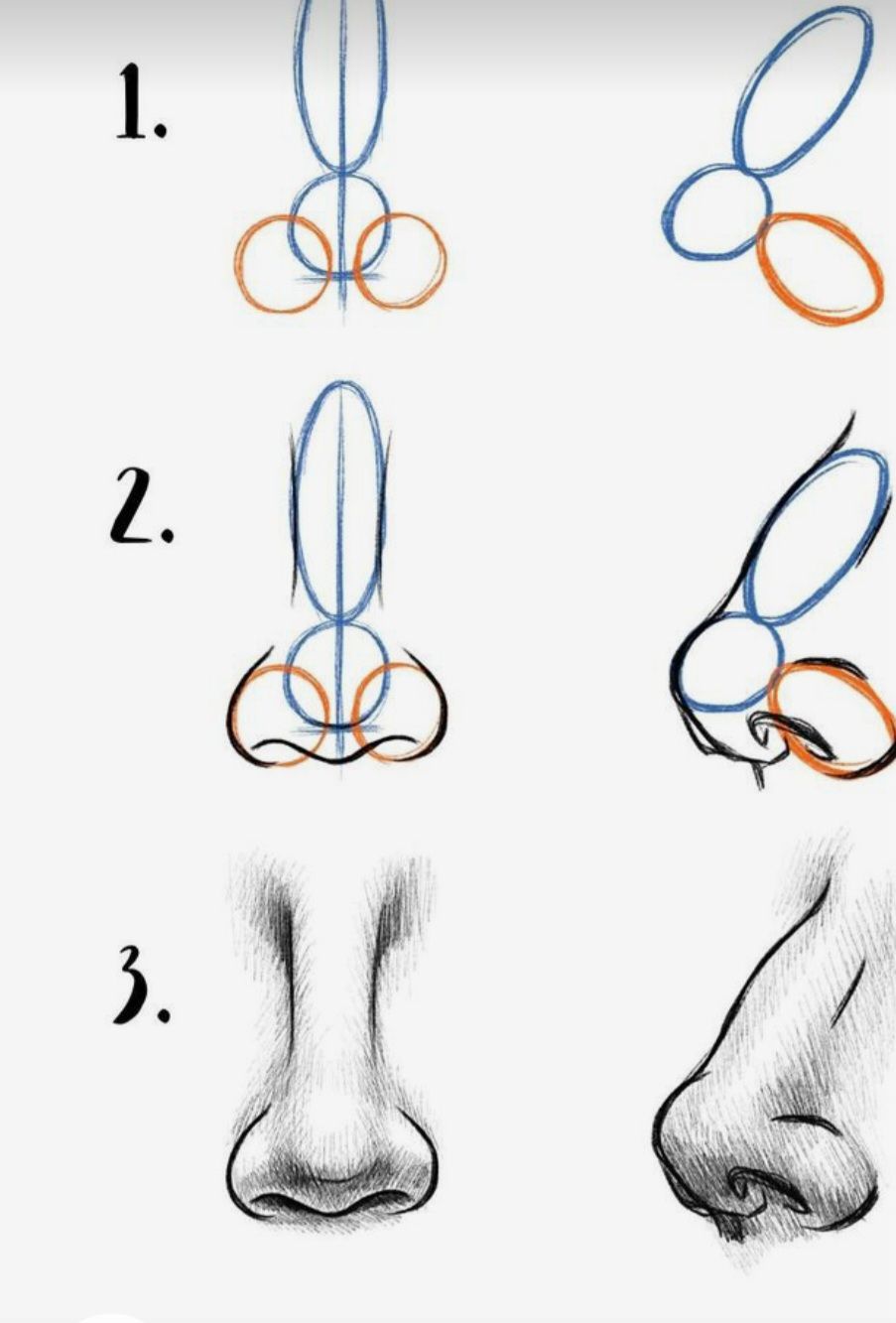 Drawing of the Nose: Step-by-Step Guide for Realistic and Cartoon Styles