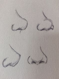 Step-by-Step Guide to Different Nose Shapes