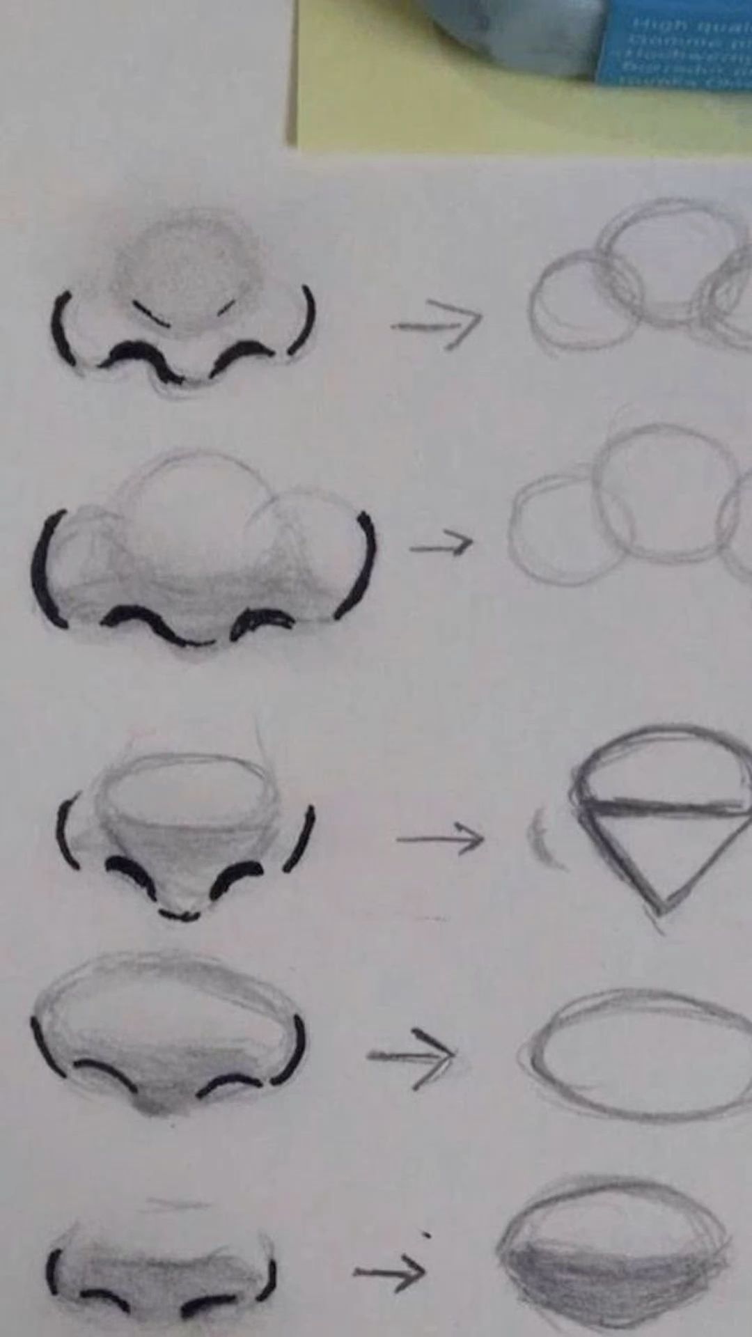 Step-by-Step Guide to Different Nose Shapes
