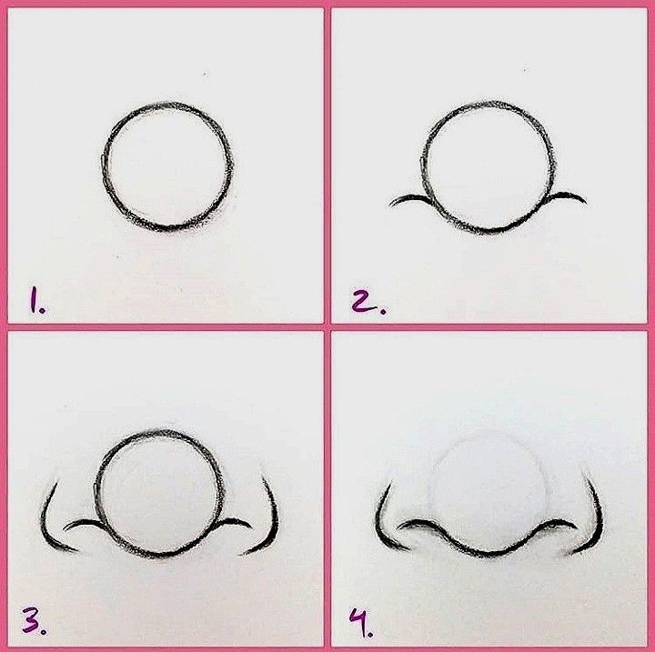 Step by Step Guide to Front View and Nostrils