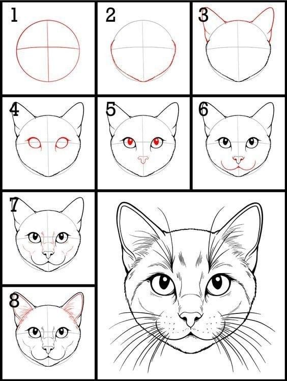 Easy Cat Drawings: Step-by-Step Guide to Drawing Realistic Cat Faces