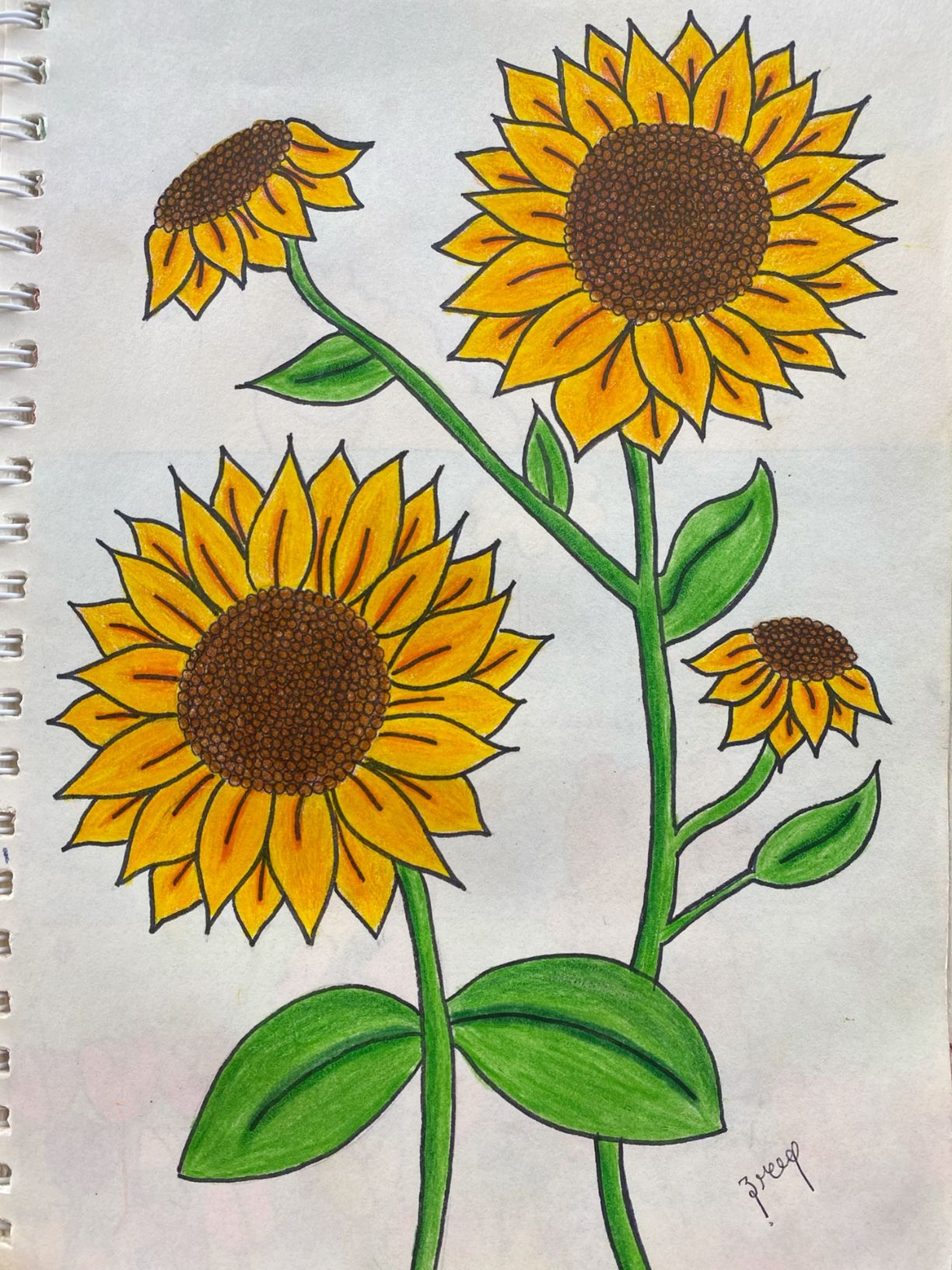 Bright Sunflower Trio