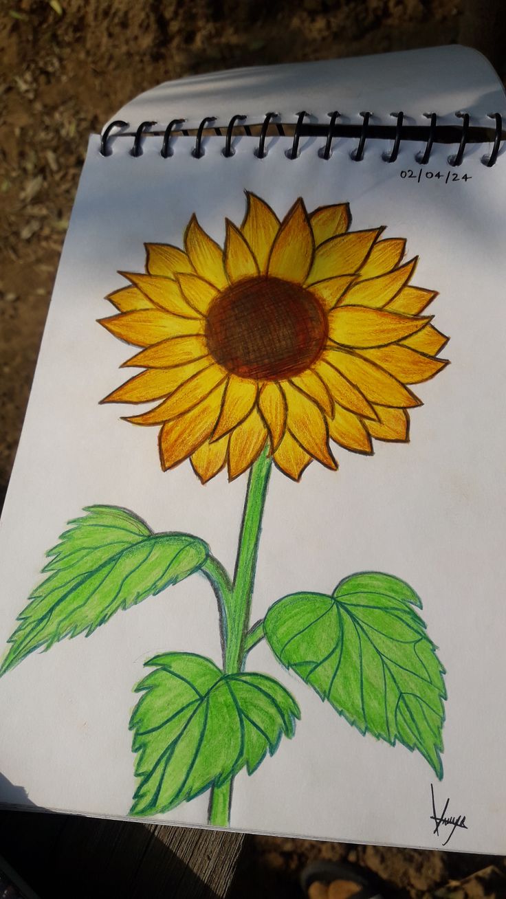 Bright Sunflower with Leaves