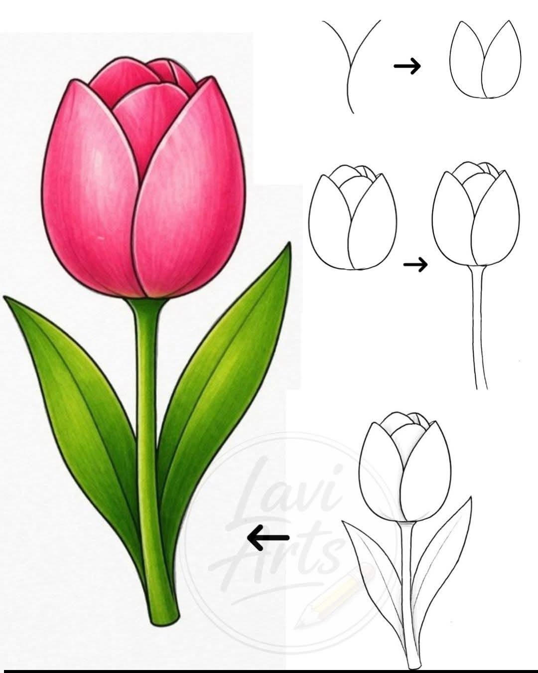 Fun Pink Tulip with Step-by-Step Guide