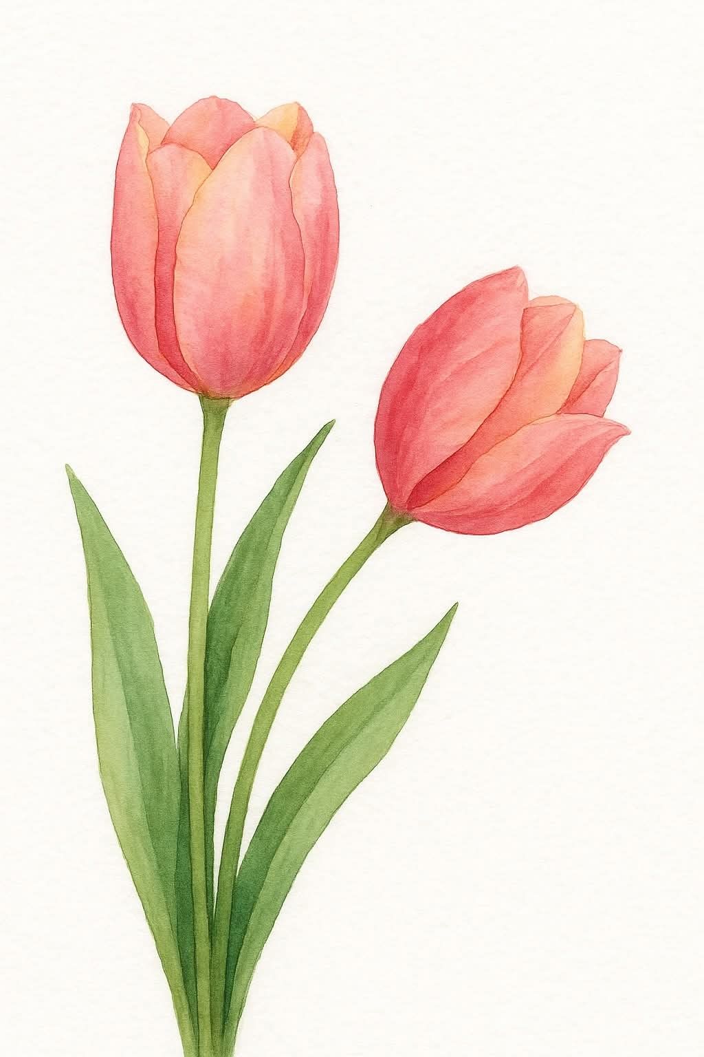 Easy Flowers to Draw: Lovely Pink Tulips with Graceful Leaves