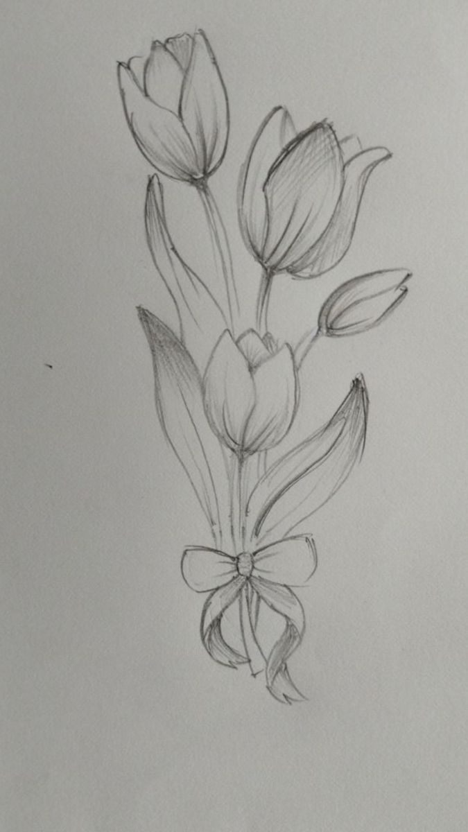 Easy Flowers to Draw: Simple Bouquet of Tulips with Bow