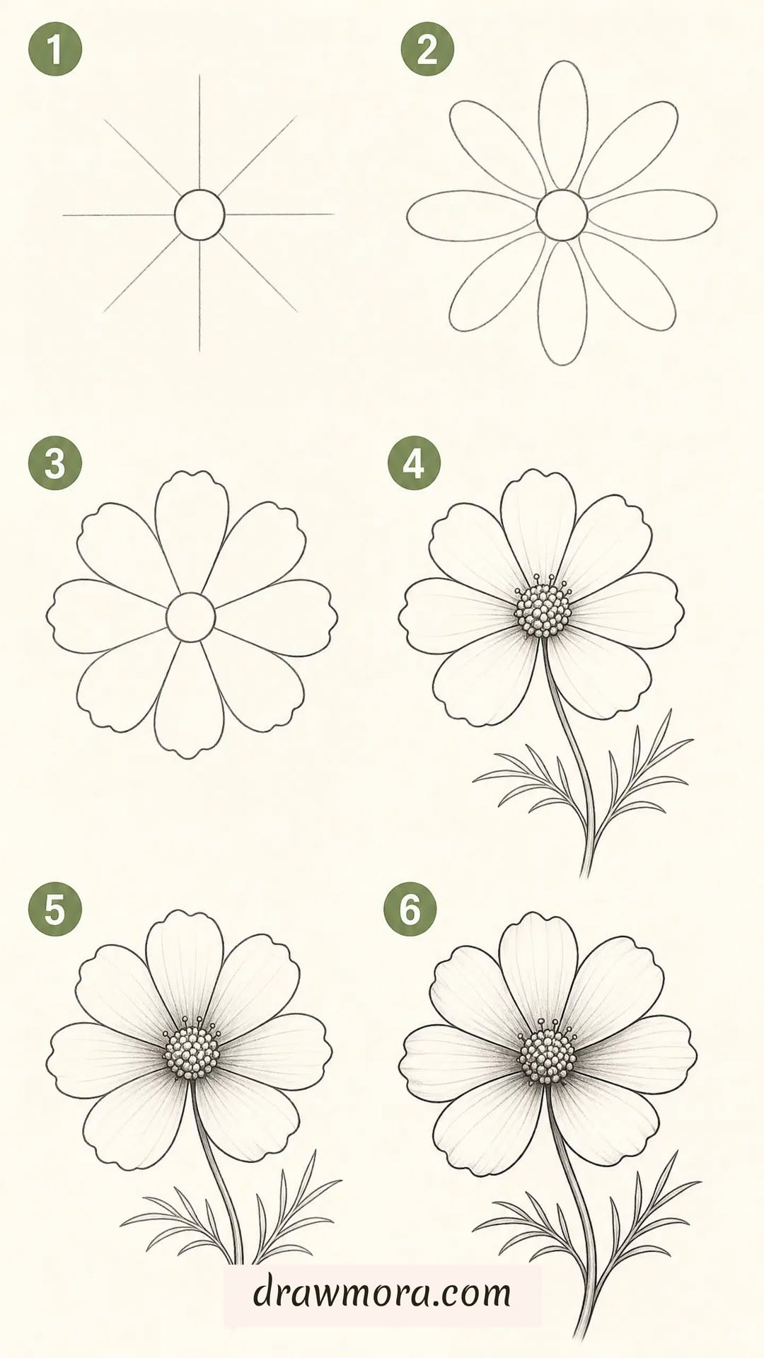 Simple Cosmos Flower Step by Step