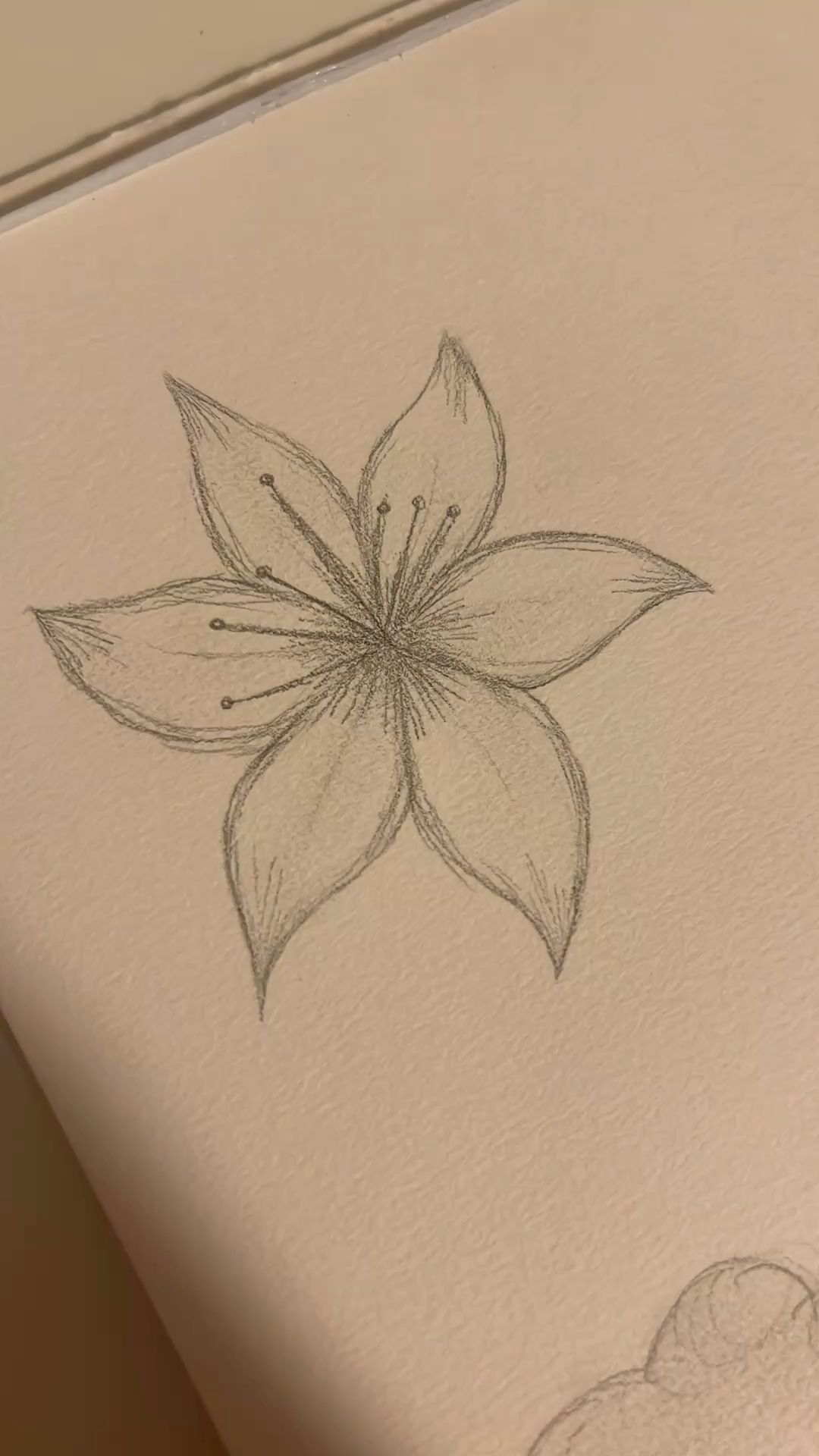 Simple Five-Petal Blossom