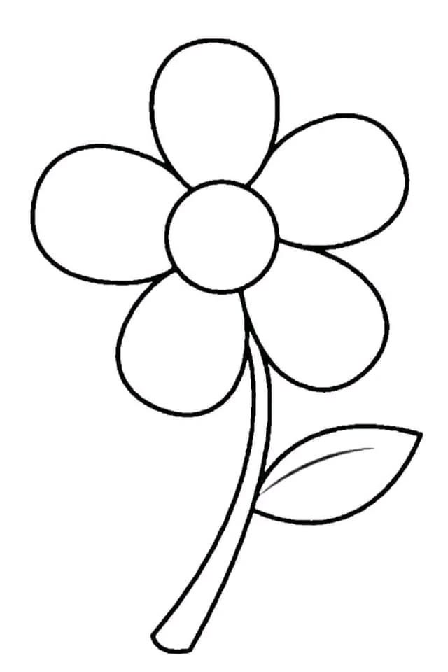 Easy Flowers to Draw: Simple Five-Petal Flower with Stem
