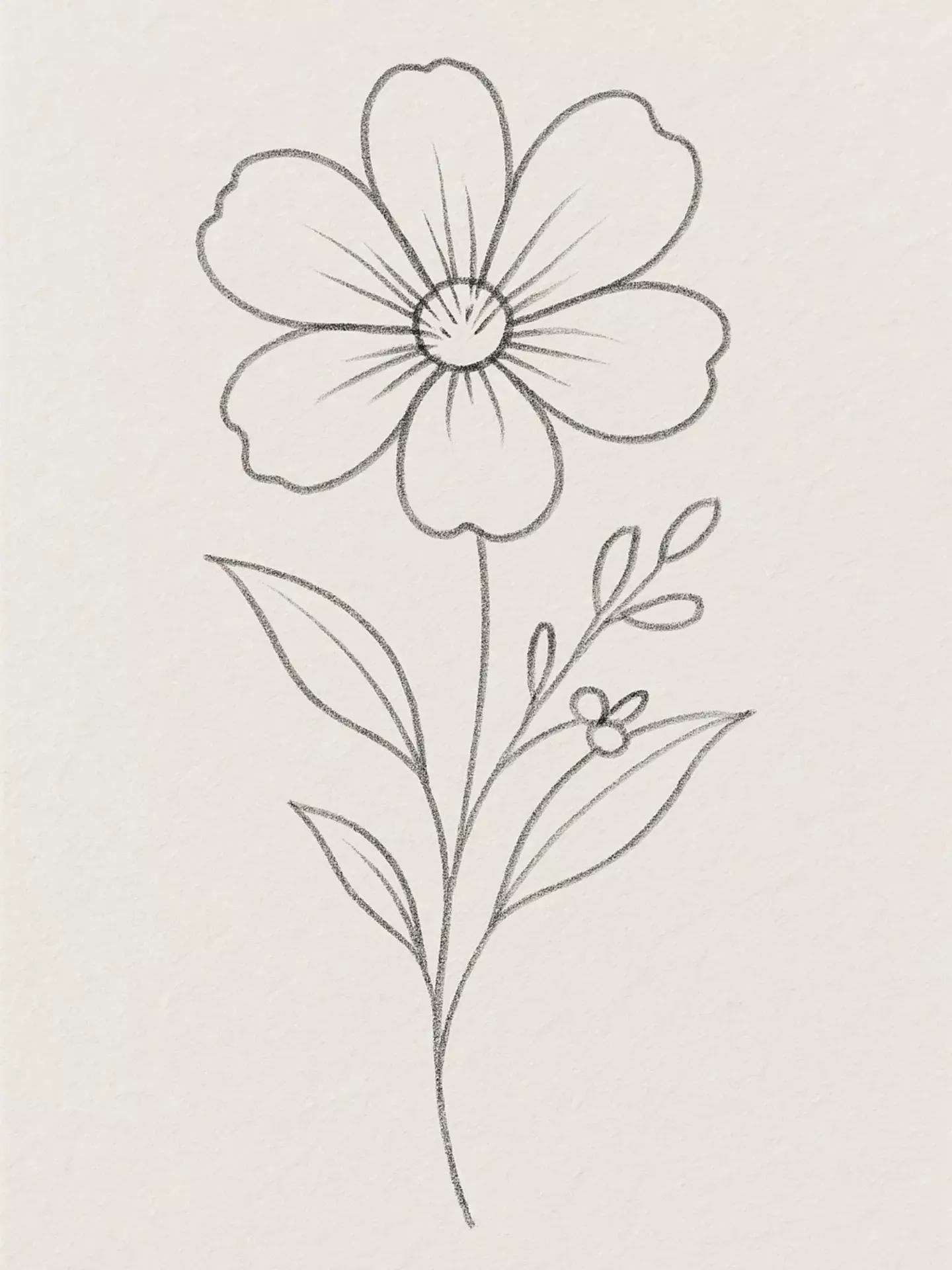 Simple Flower with Leaves and Buds