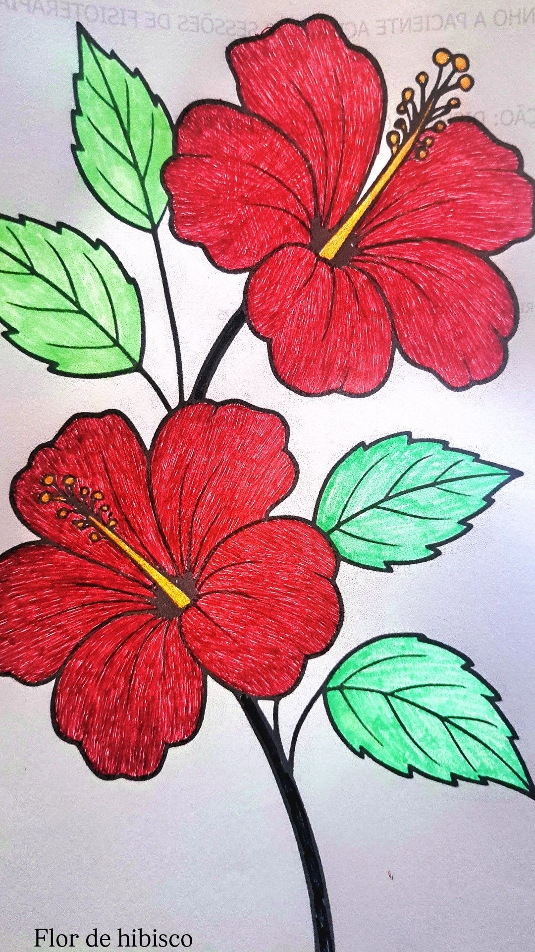 Simple Hibiscus Blooms with Leaves