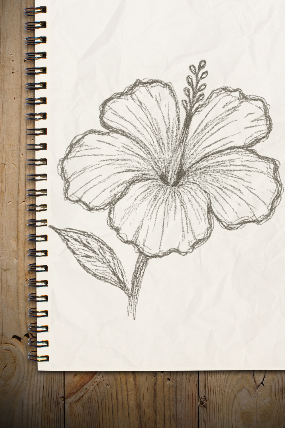 Simple Hibiscus Sketch