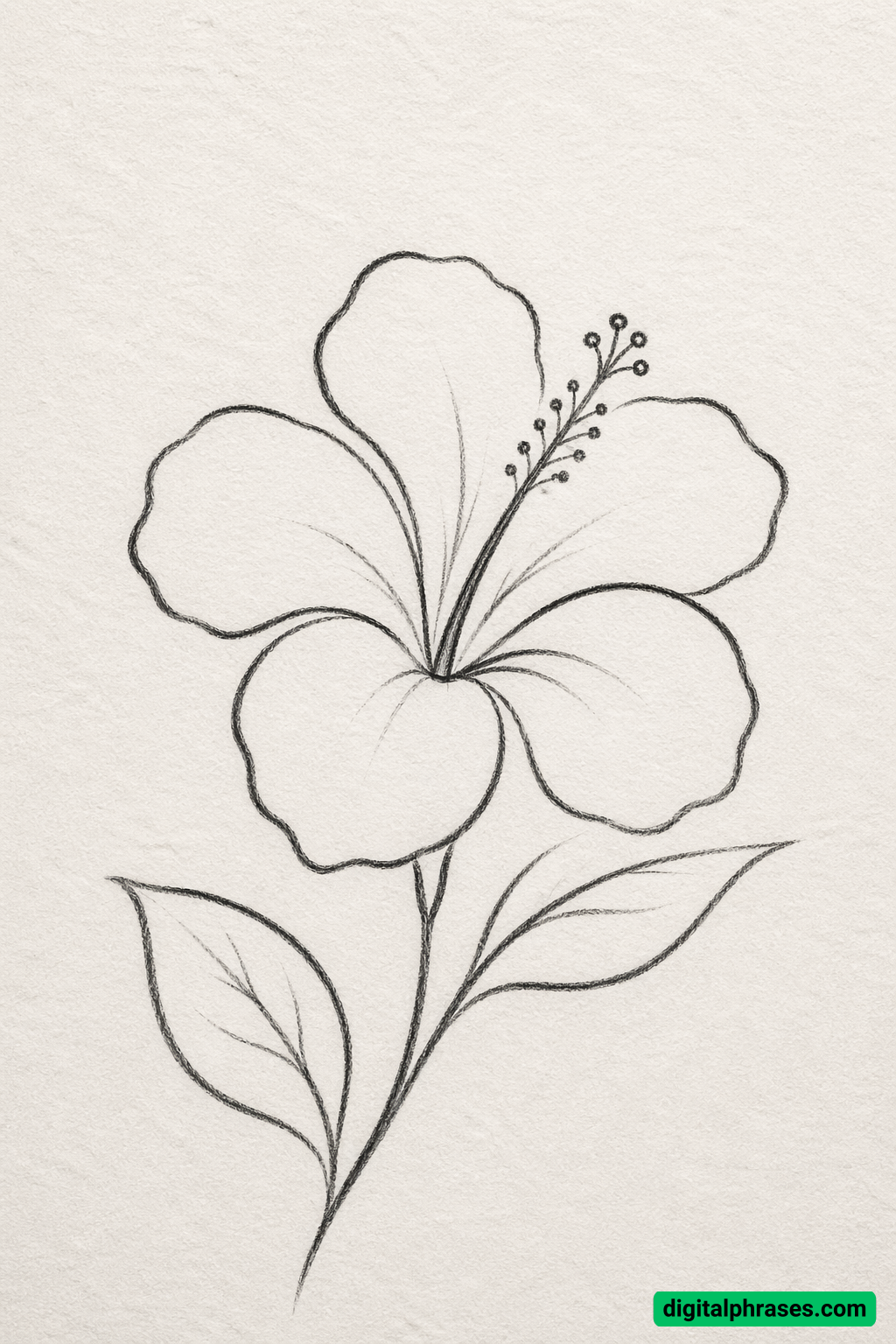 Simple Hibiscus with Leaves