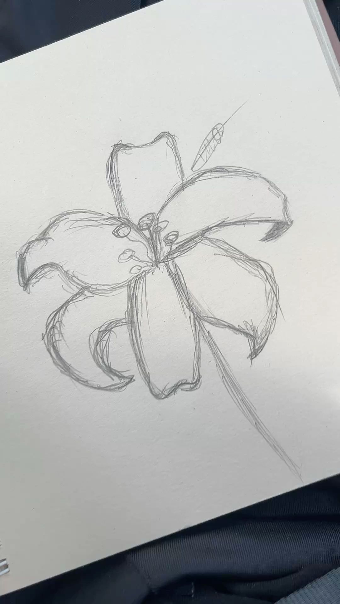 Simple Lily Sketch Tutorial