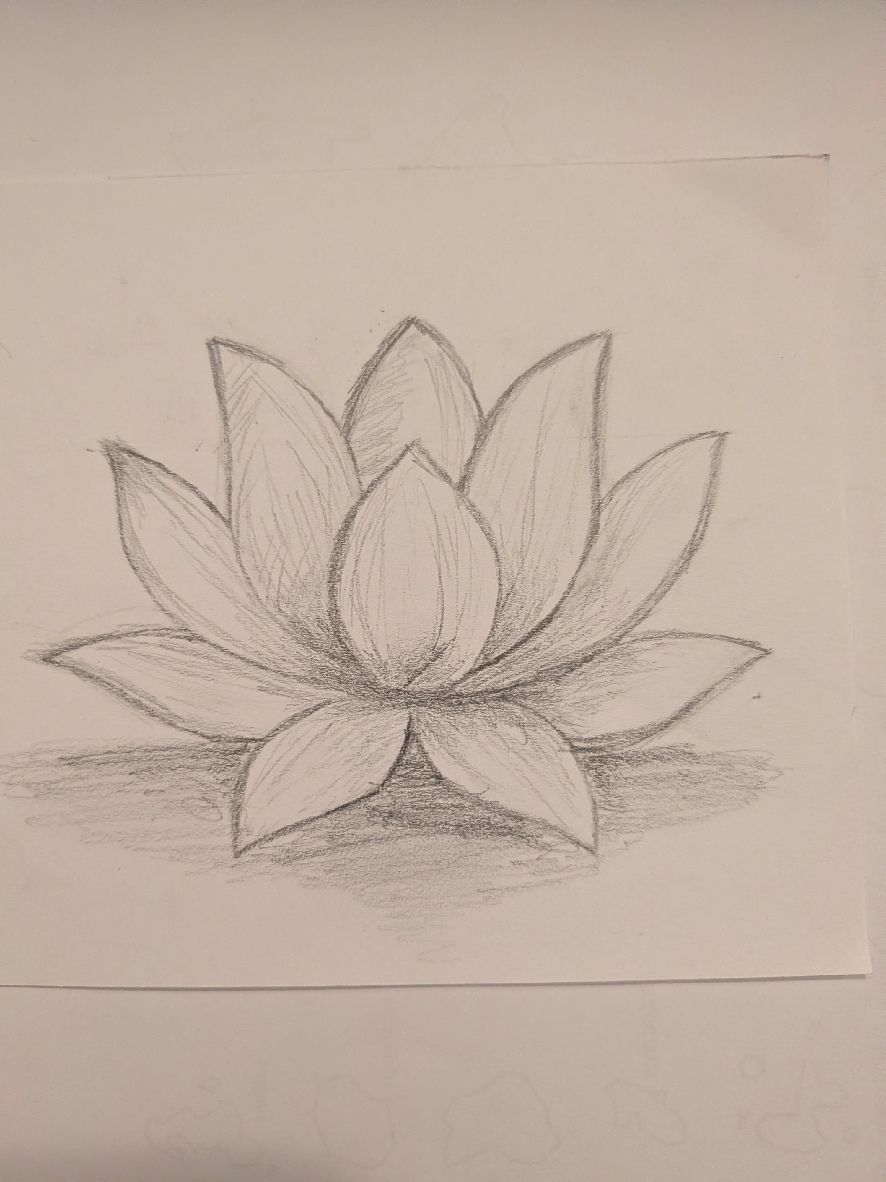 Simple Lotus Blossom Sketch