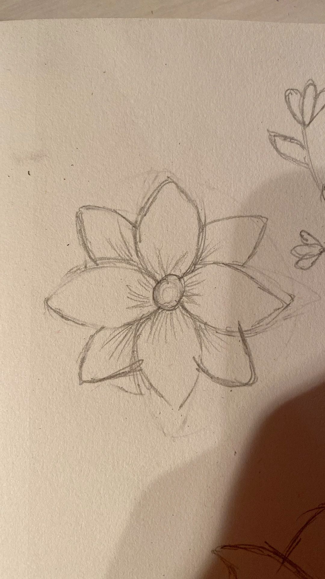 Simple Magnolia Blossom