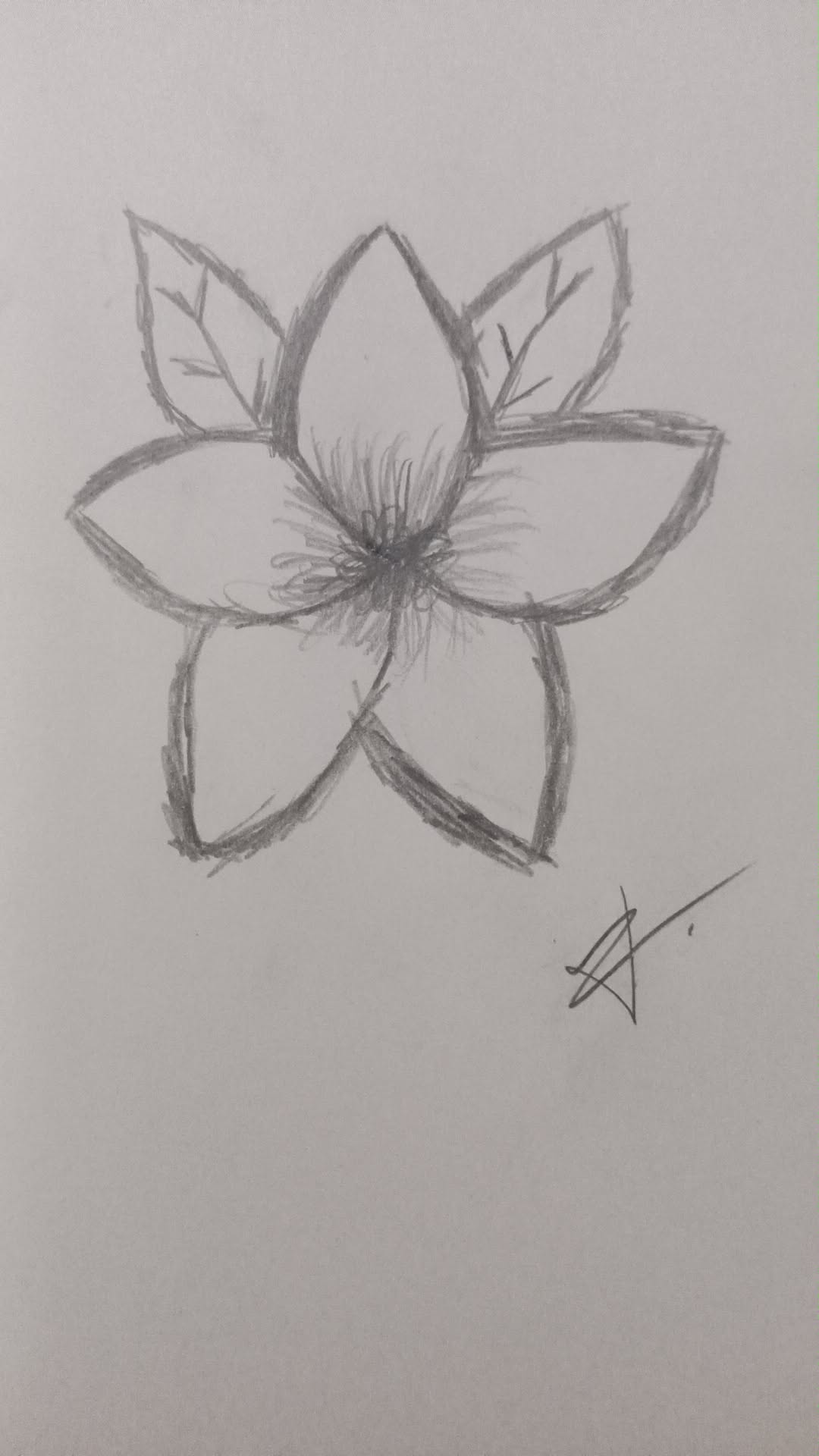 Simple Magnolia Blossom with Leaves
