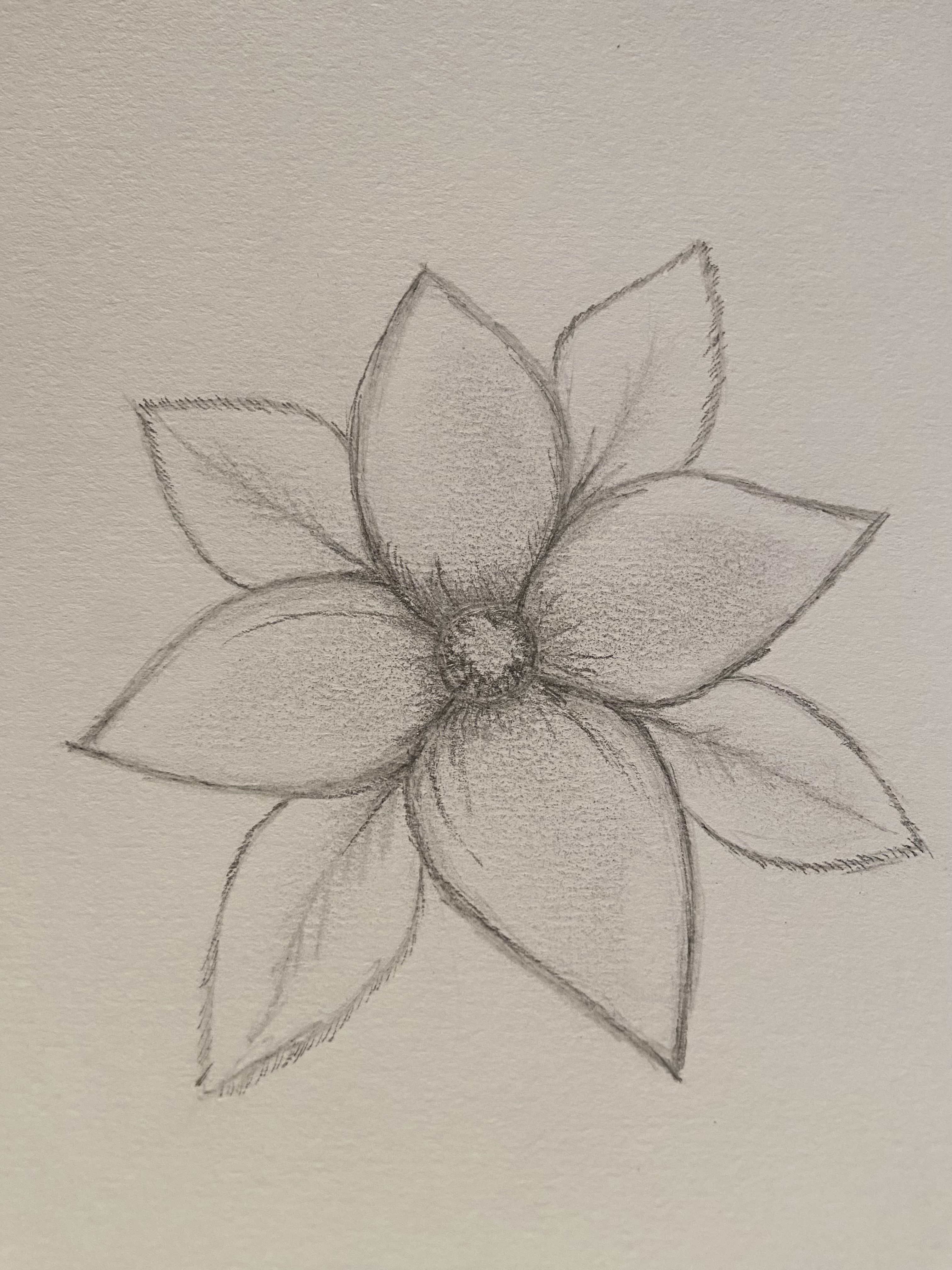 Simple Magnolia Blossom