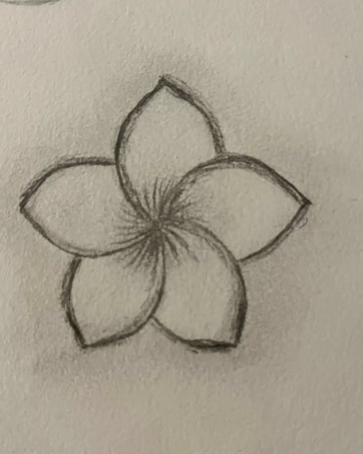 Simple Plumeria Blossom Sketch