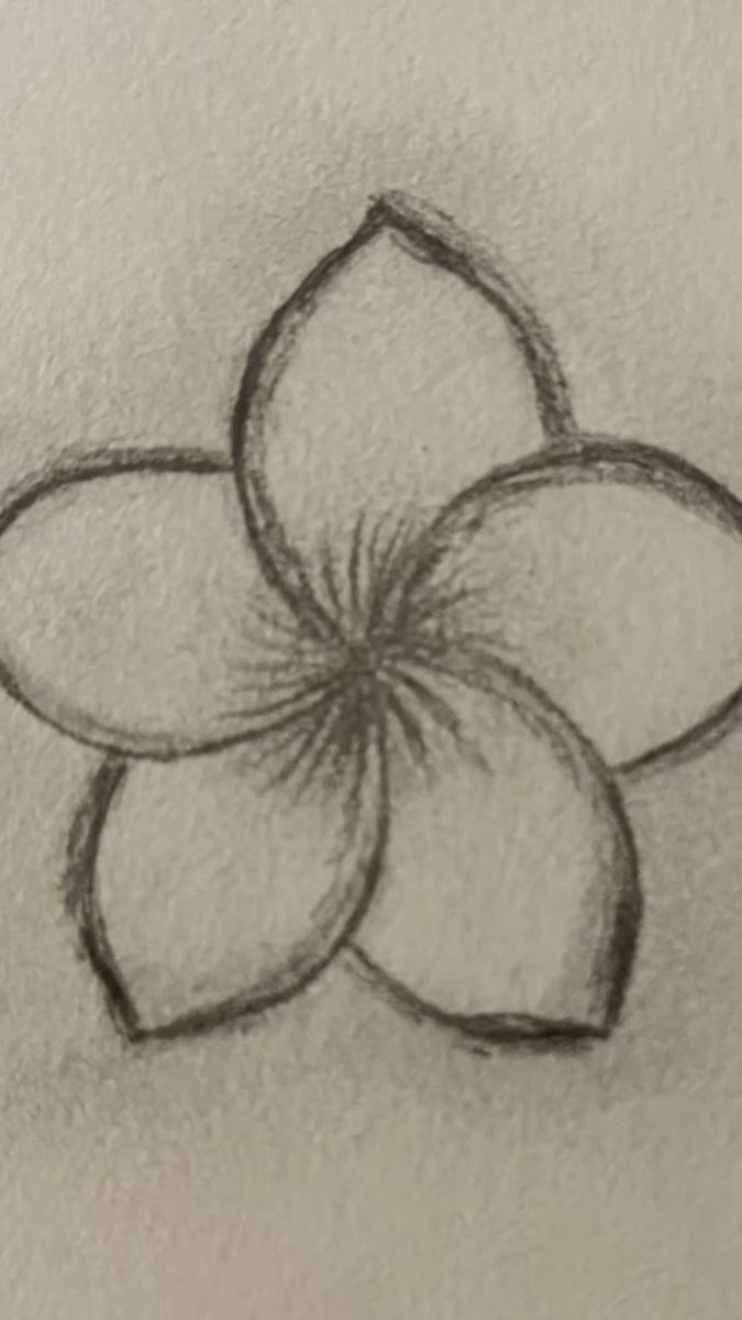 Simple Plumeria Blossom