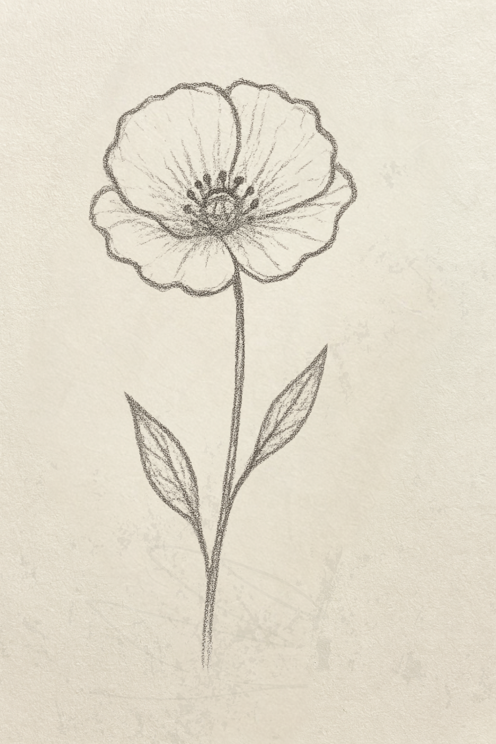 Simple Poppy Flower with Leaves