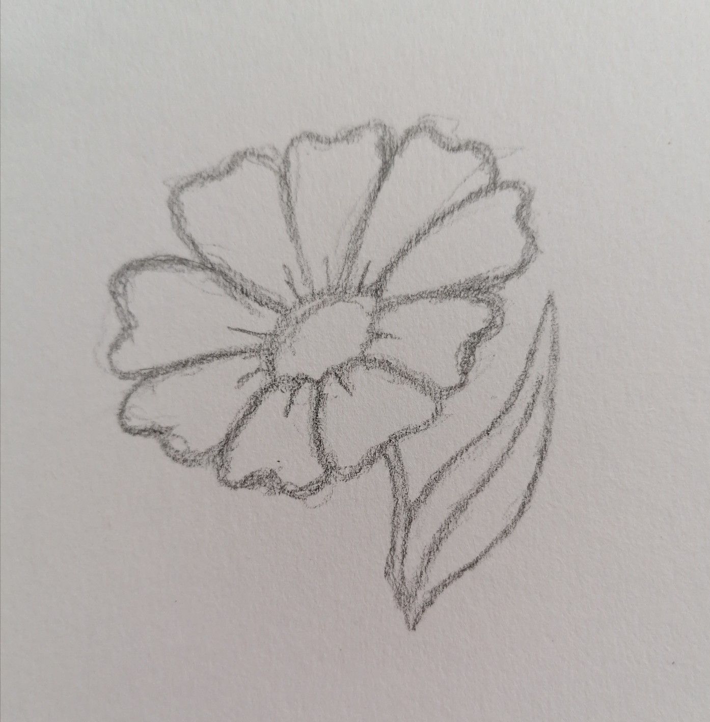 Simple Sketch of a Blooming Flower