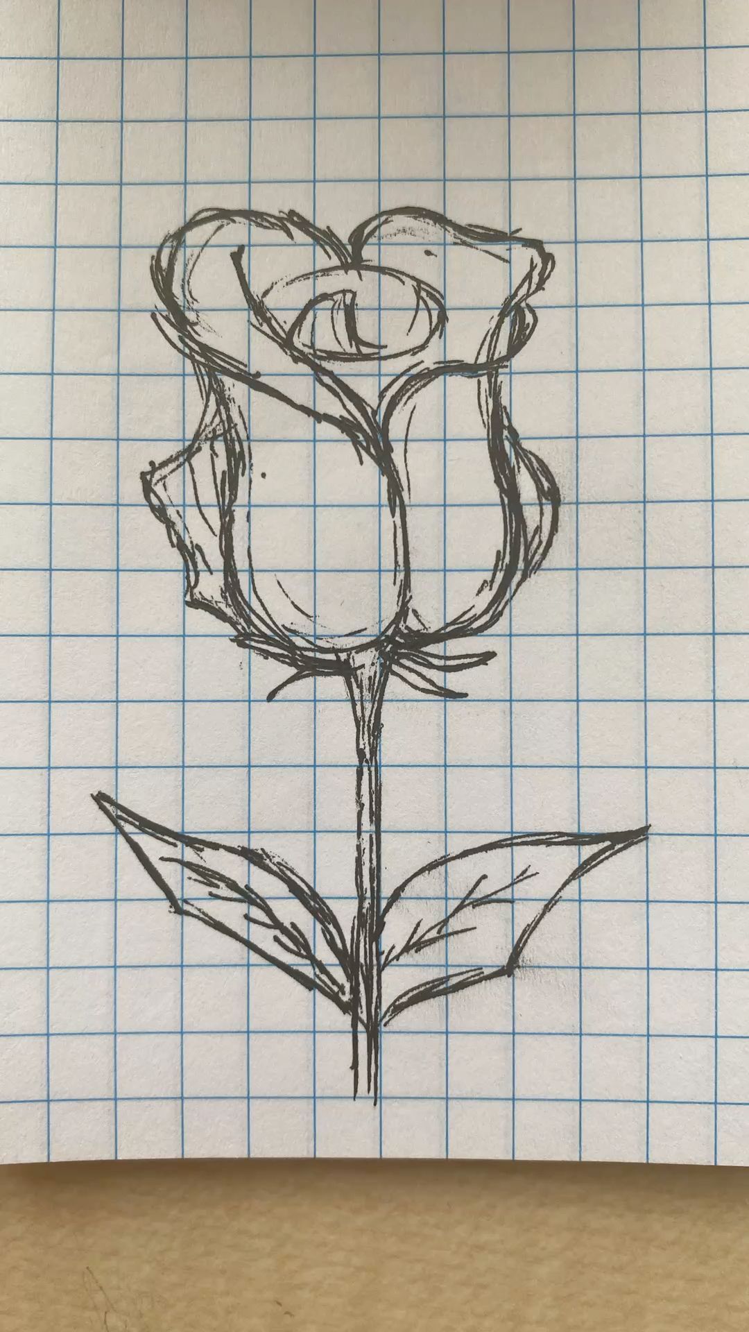 Simple Sketch of a Classic Rose