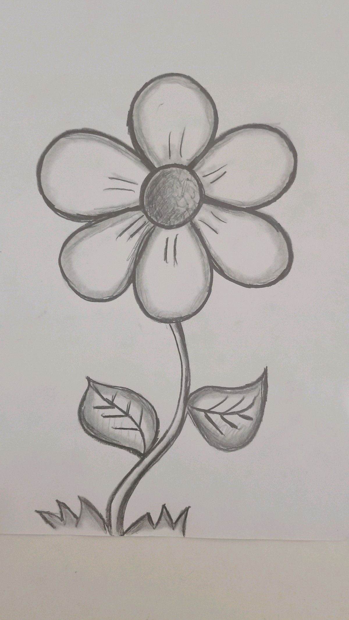 Simple Sketch of a Cute Flower with Leaves