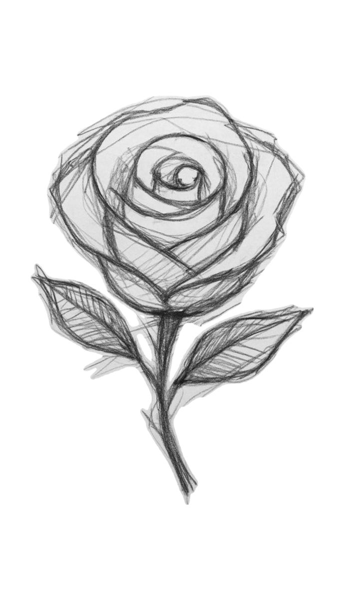 Simple Sketch of a Rose with Leaves