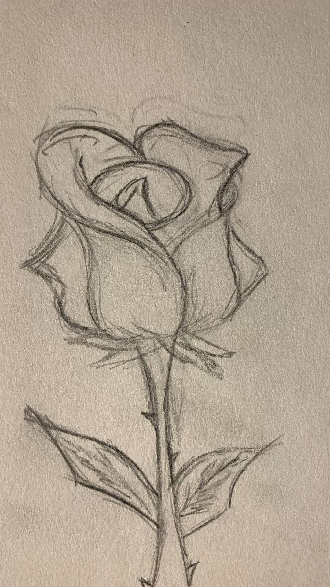 Simple Sketch of a Rose