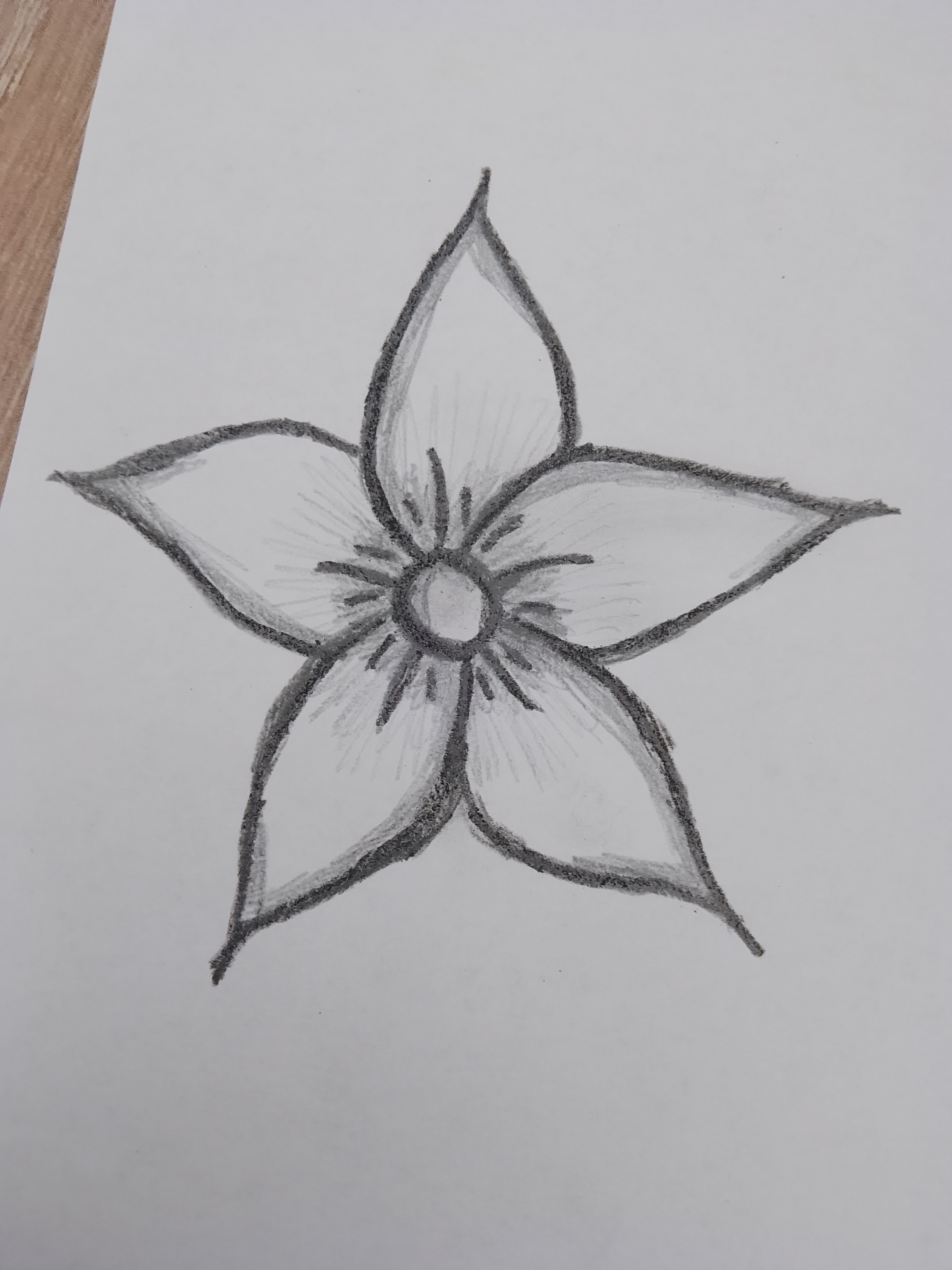 Simple Star-Shaped Flower Sketch