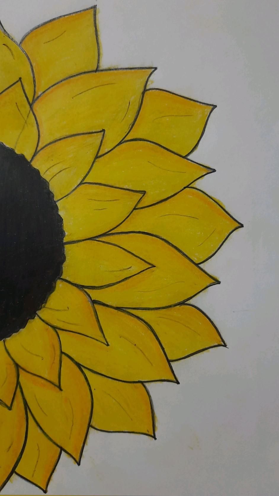 Simple Sunflower Petals with Center