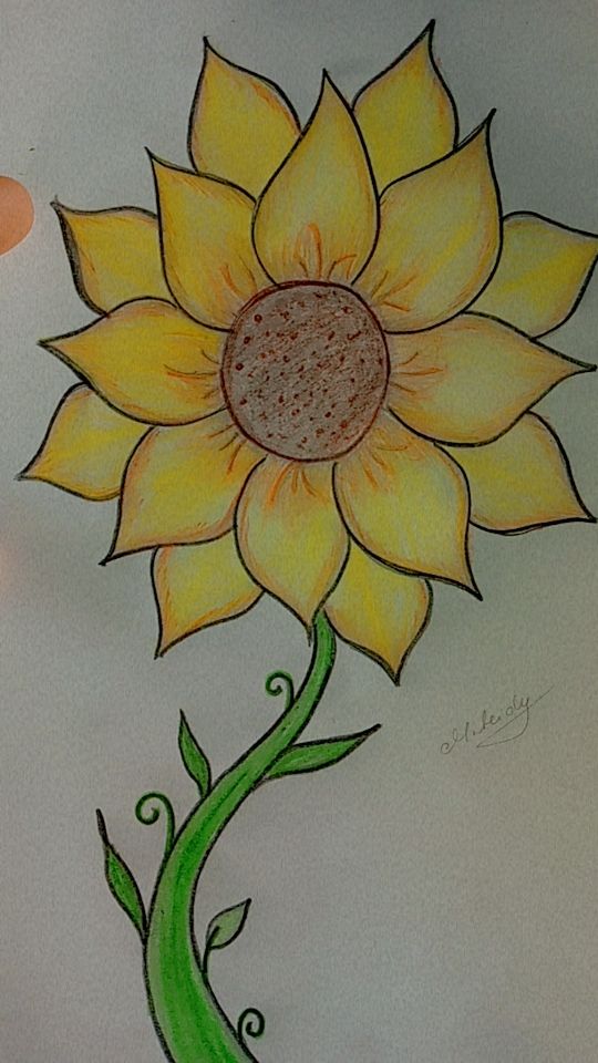 Simple Sunflower with Curly Stem
