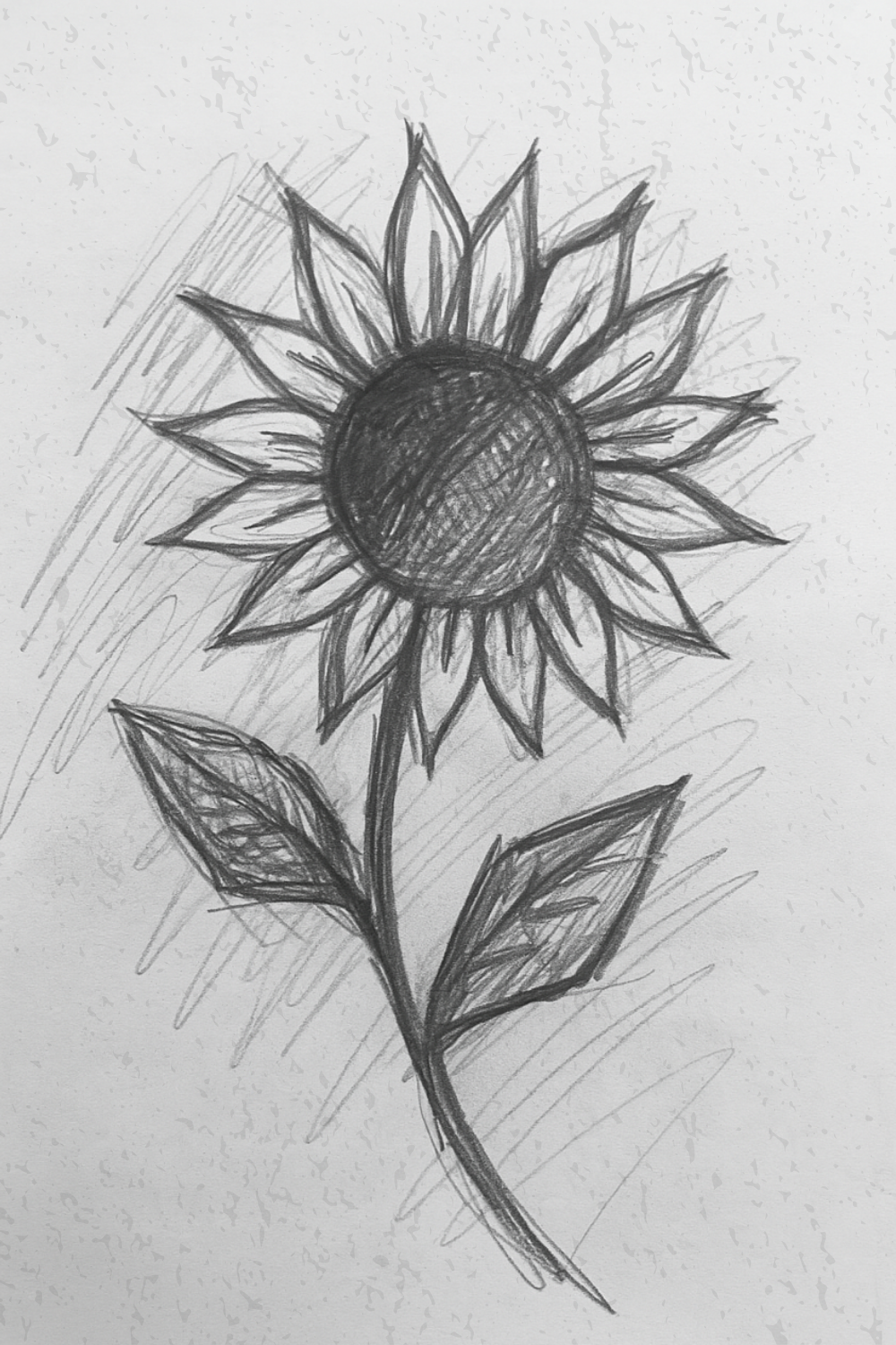 Simple Sunflower with Leaves