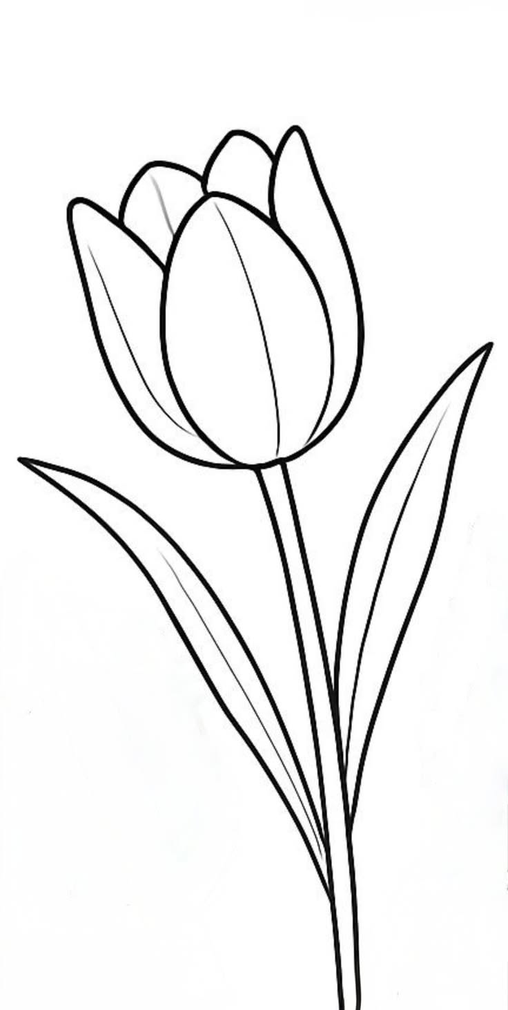 Easy Flowers to Draw: Simple Tulip Blossom with Leaves