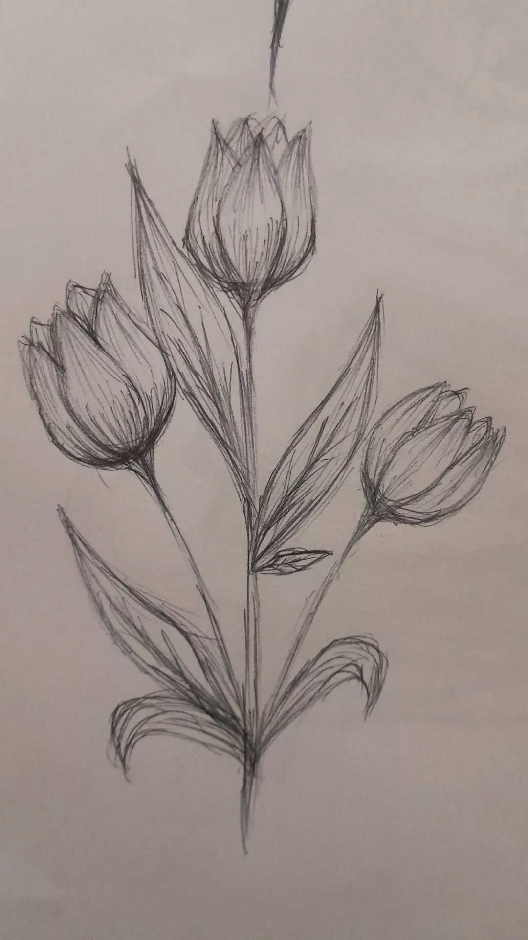 Simple Tulip Bouquet with Leaves