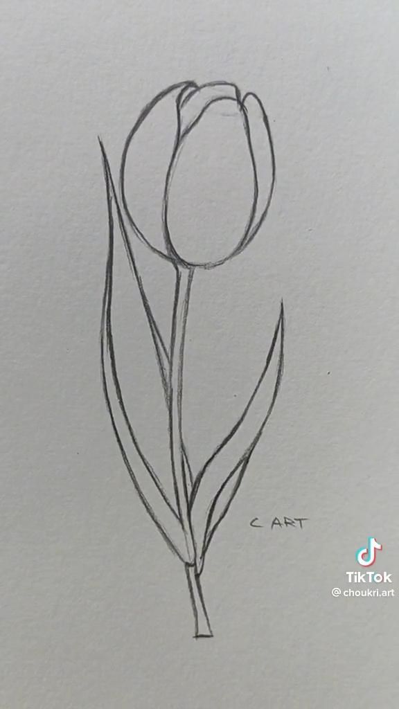 Simple Tulip with Leaves