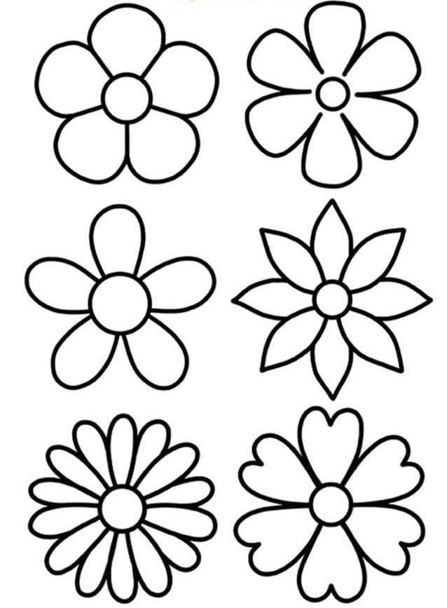 Easy Flowers to Draw: Six Simple Flower Designs