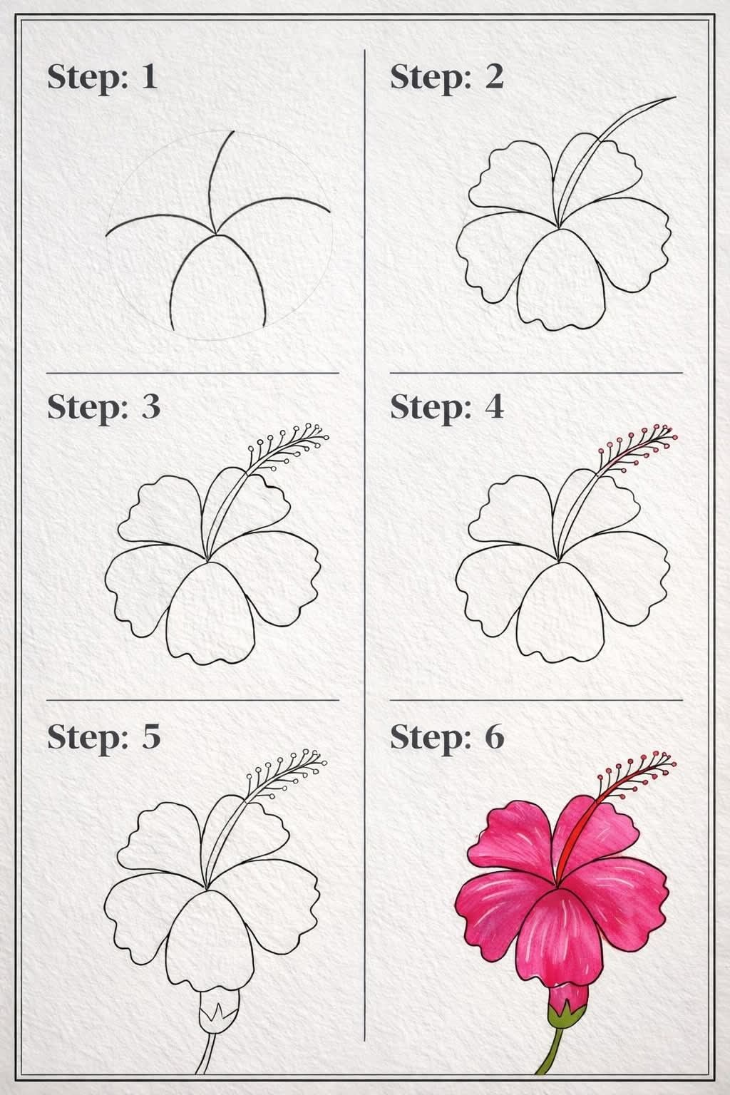 Step-by-Step Hibiscus Tutorial