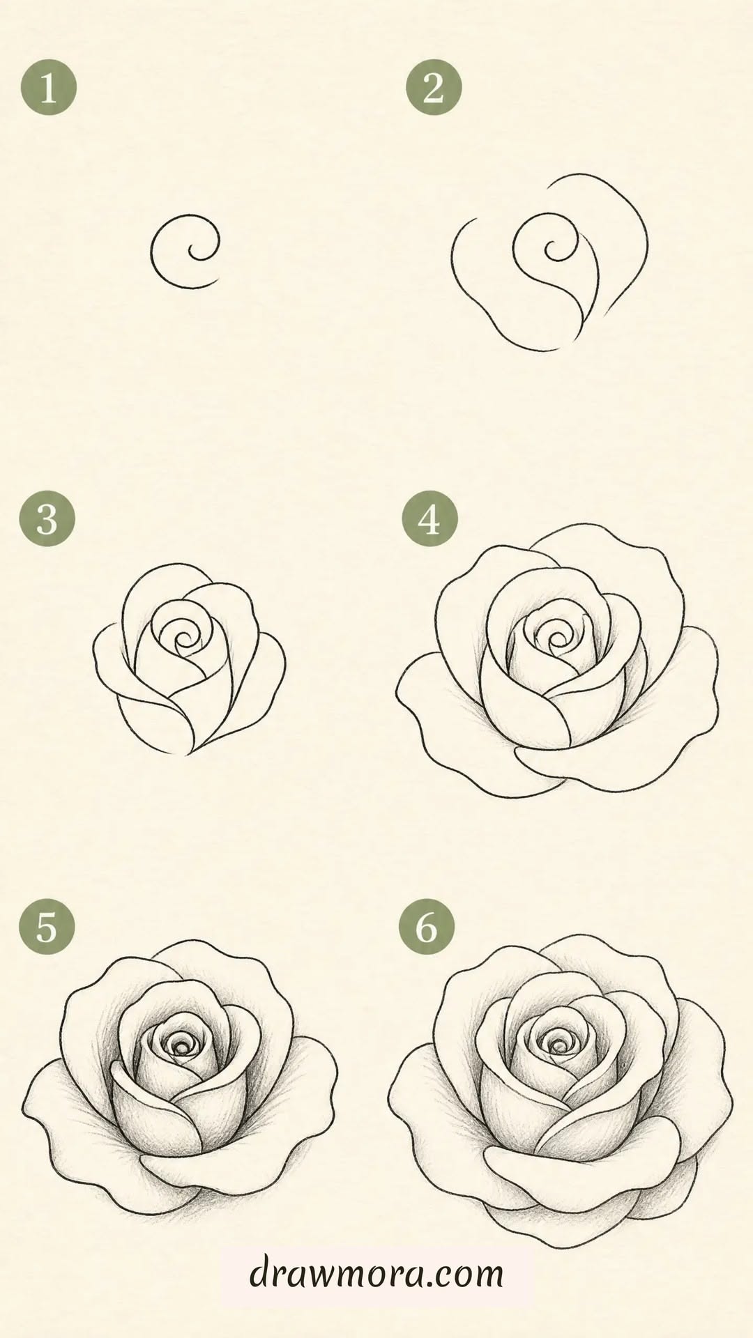 Step-by-Step Simple Rose Illustration