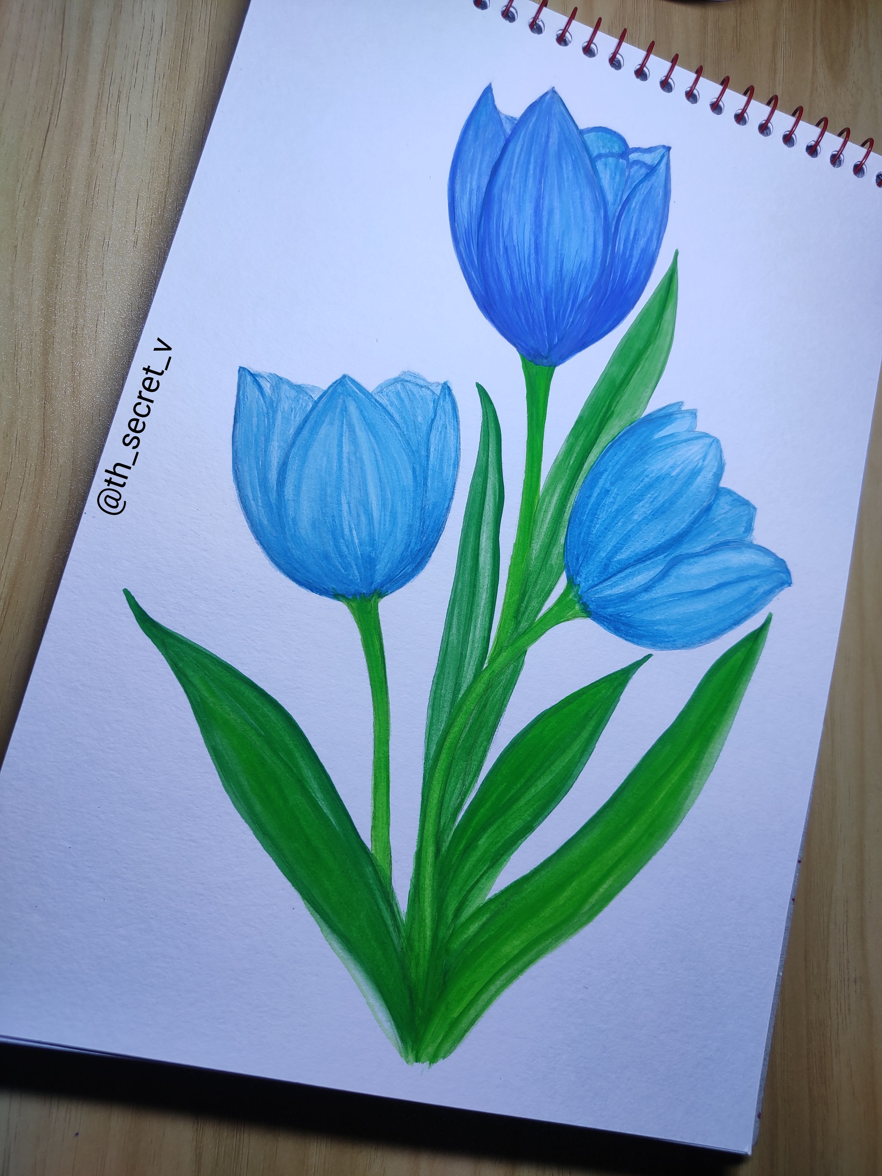 Vibrant Blue Tulips with Green Leaves