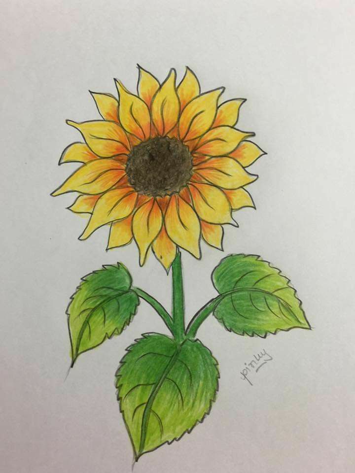 Vibrant Sunflower with Leaves
