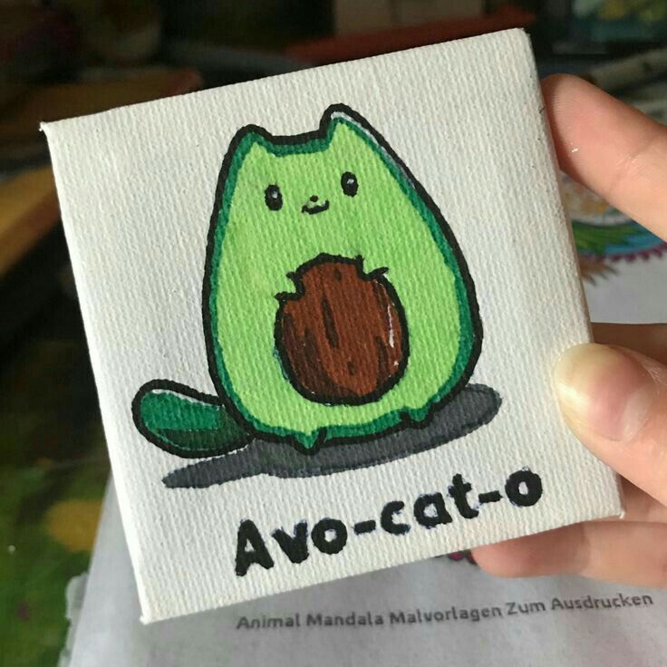 Adorable Avo-cat-o