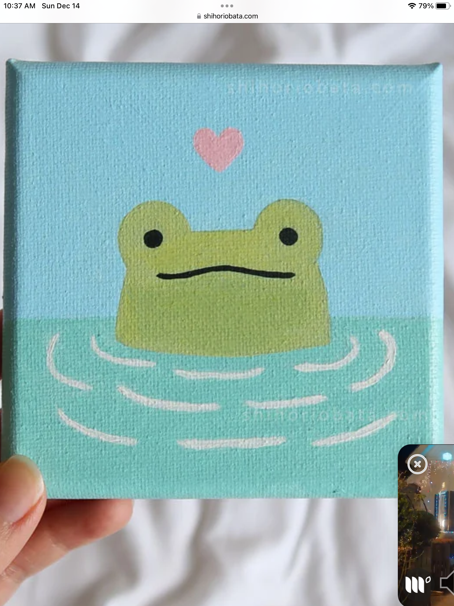 Adorable Frog in Water