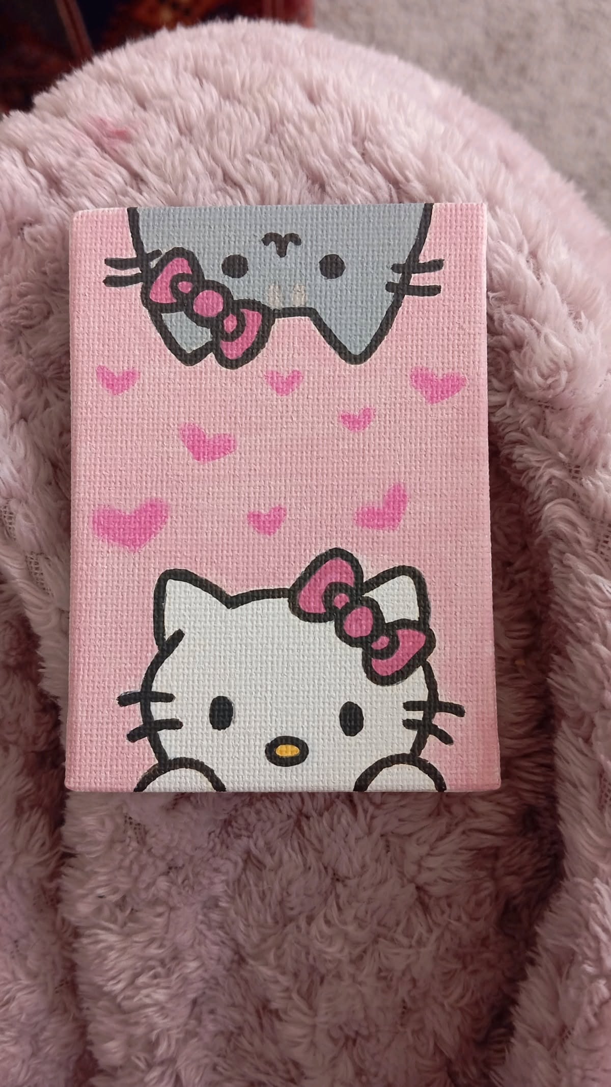 Adorable Hello Kitty with Gray Cat