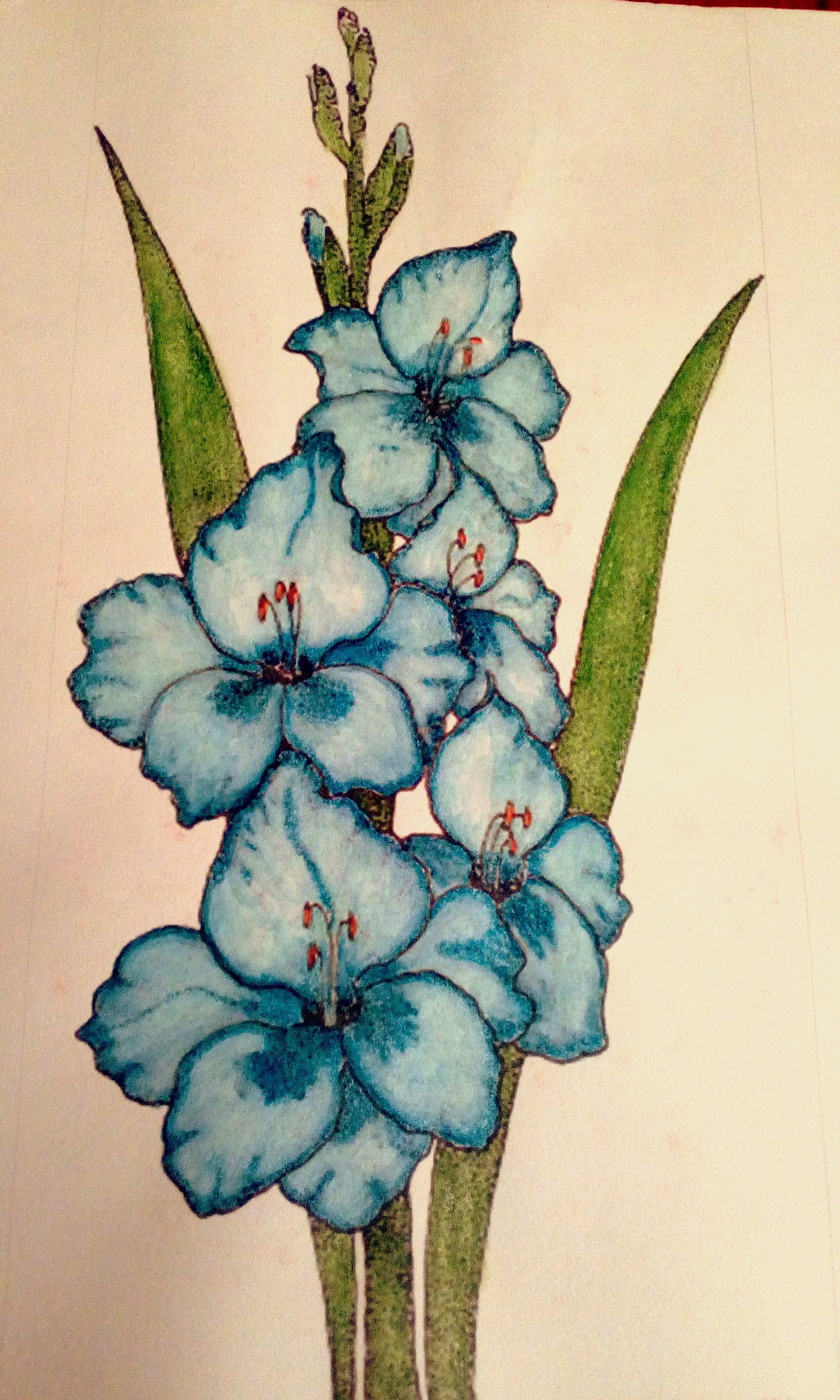 Beautiful Blue Gladiolus Arrangement