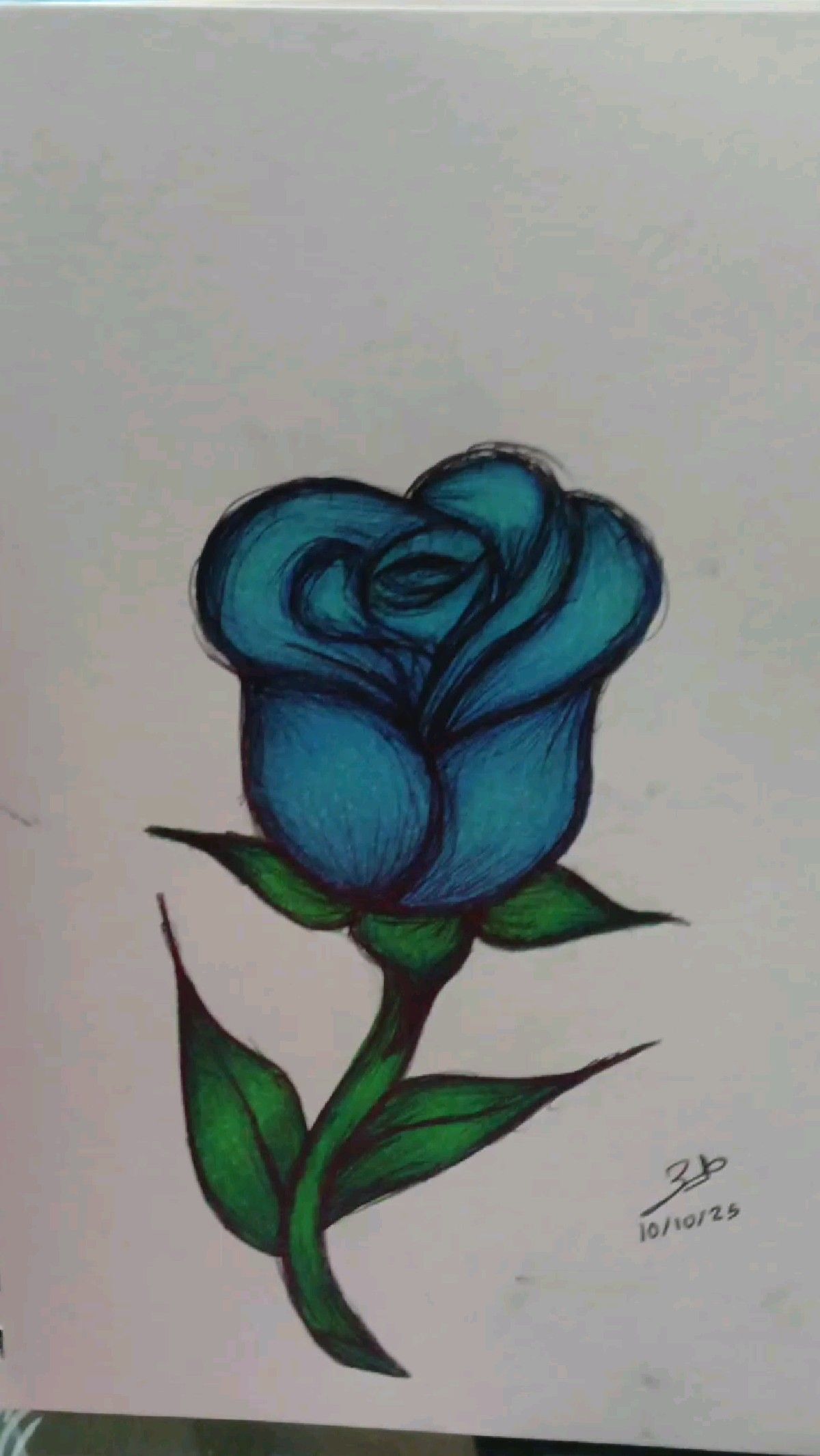 Beautiful Blue Rose with Green Leaves