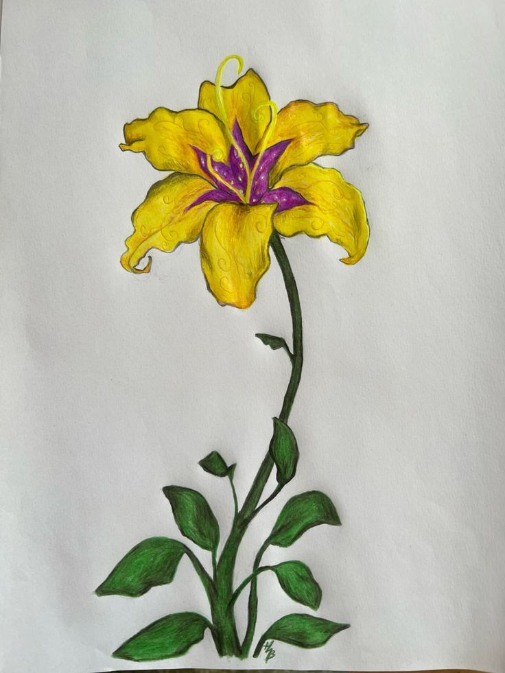 Bright Yellow Lily with Green Leaves
