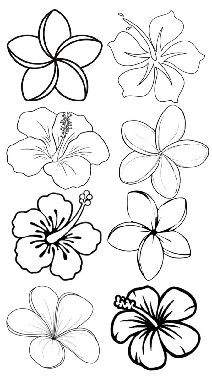 Charming Hibiscus Collection